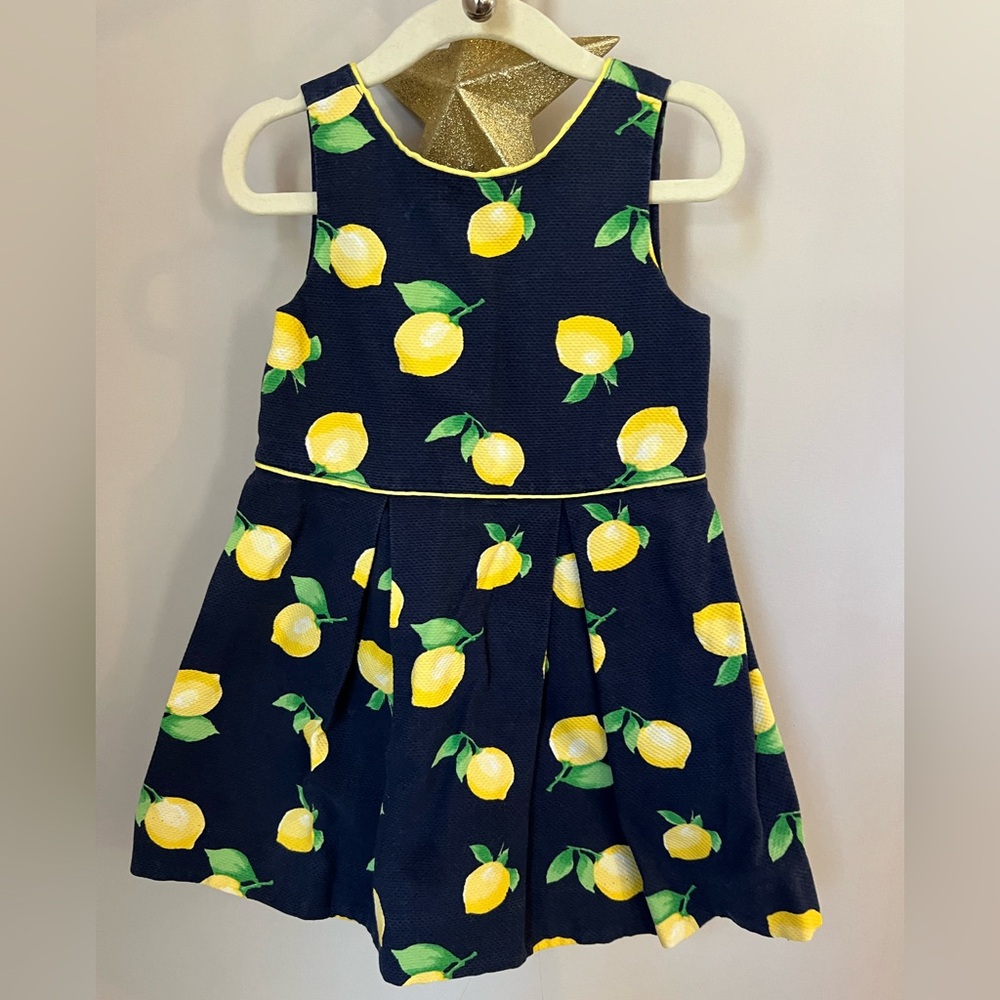 Sweet Janie and Jack navy blue lemon dress - size 3 - used